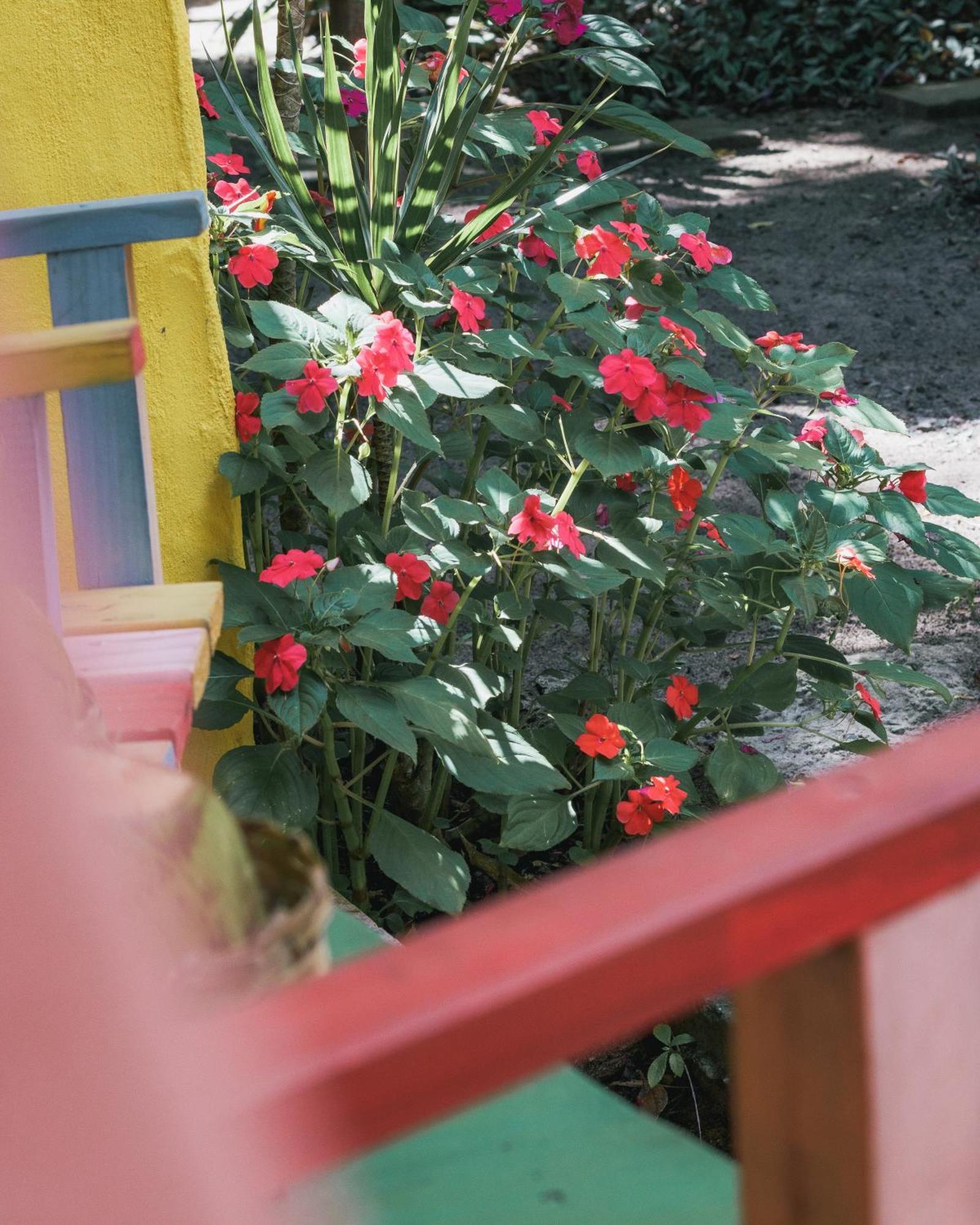 Butterfly House Bahia Hotel Marau  Exterior photo