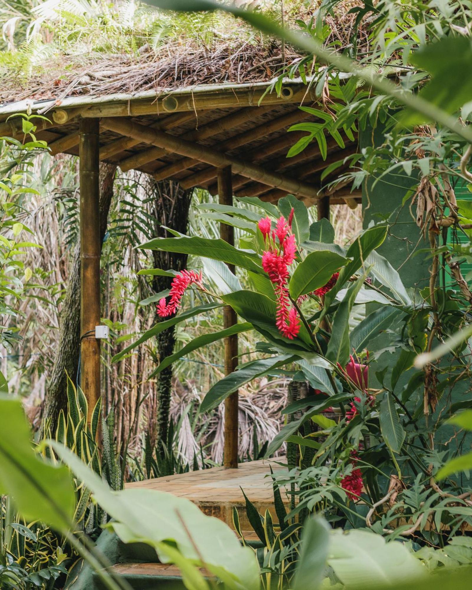 Butterfly House Bahia Hotel Marau  Exterior photo